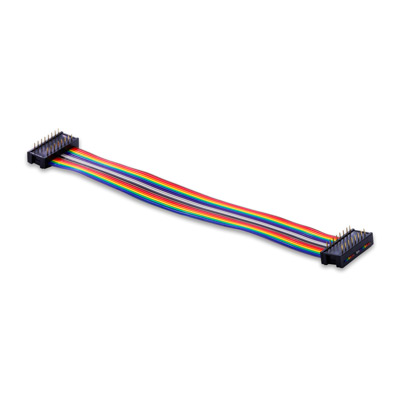 HSG-IDC-DP001，Pitch2.54 CW C6PP 16P, L:152mm UL2651 IDC刺破式膠殼電子線