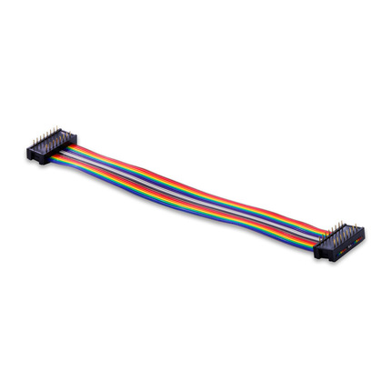 HSG-IDC-DP001，Pitch2.54 CW C6PP 16P, L:152mm UL2651 IDC刺破式膠殼電子線